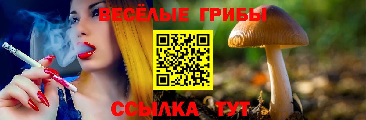 магазин продажи наркотиков  Вход с VPN  Новоалександровск  Псилоцибиновые грибы ЛСД 